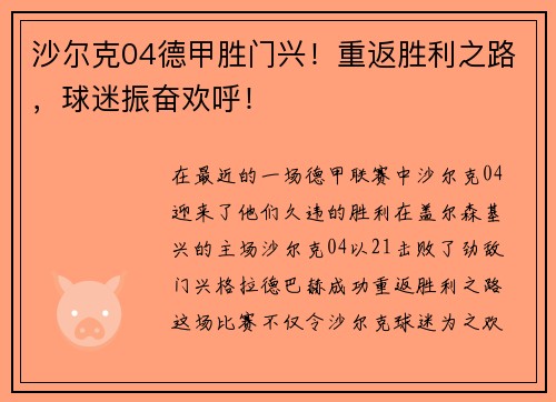 沙尔克04德甲胜门兴！重返胜利之路，球迷振奋欢呼！